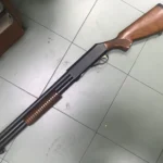 Zoli Pompa 12 Magnum — Fucile a Pompa Usato